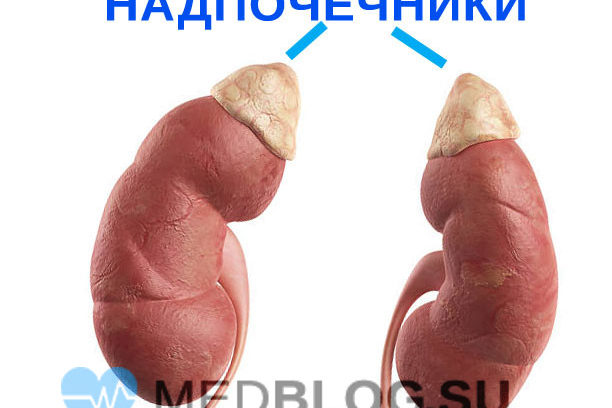 Гипокортицизм - иллюстрация болезни Аддисона