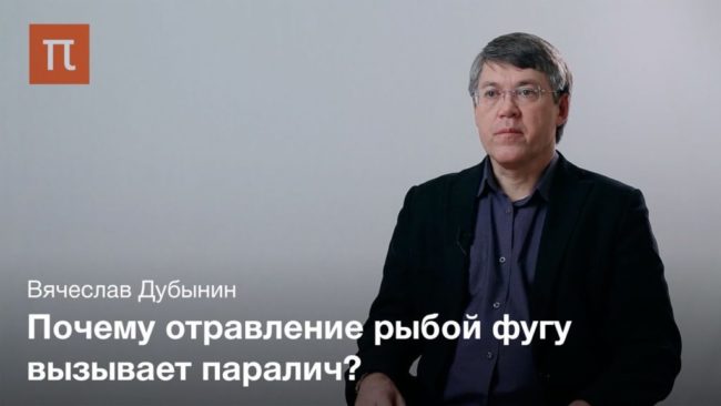 Электрические свойства нейронов — Вячеслав Дубынин