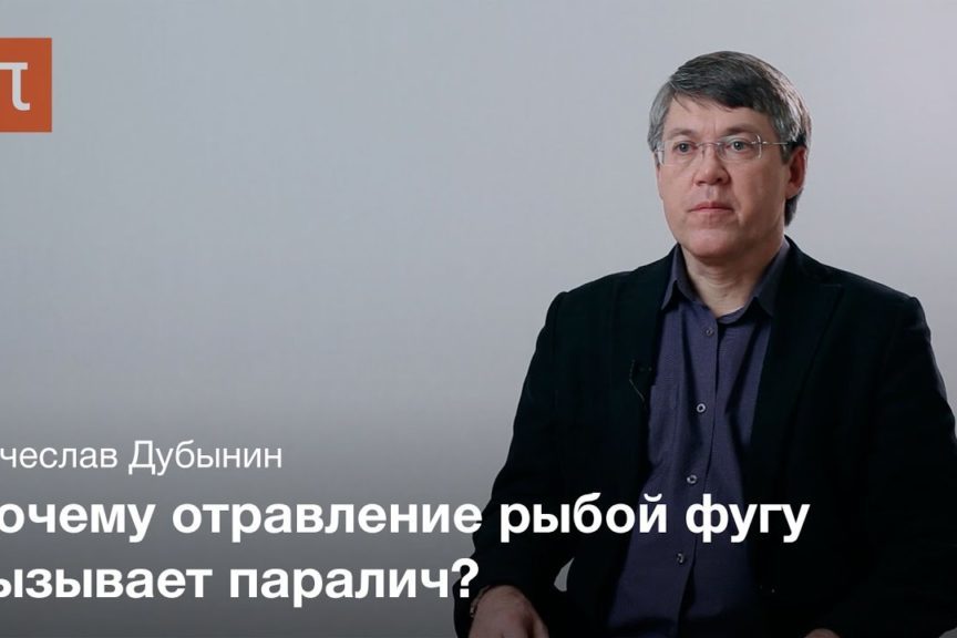 Электрические свойства нейронов — Вячеслав Дубынин
