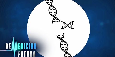 Генетика. Редактирование генома | Медицина будущего