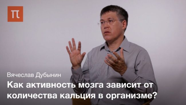 Мозг: работа синапсов — Вячеслав Дубынин