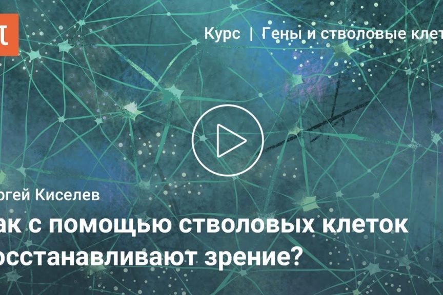 Новые технологии в лечении болезней зрения — Сергей Киселев