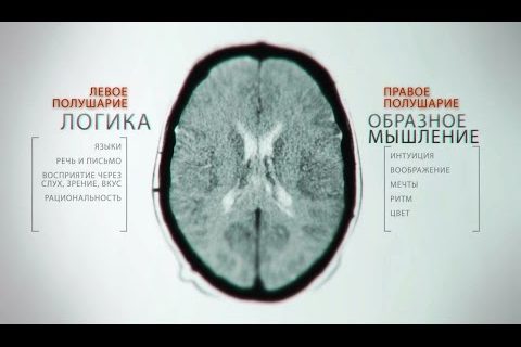 Тайны мозга. Фильм 4