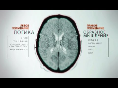 Тайны мозга. Фильм 4