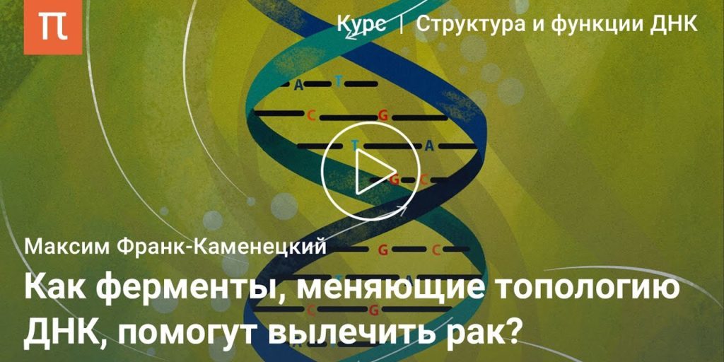 Узлы ДНК — Максим Франк-Каменецкий