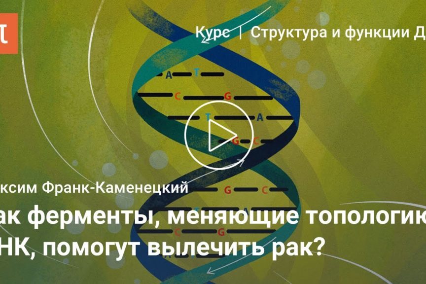 Узлы ДНК — Максим Франк-Каменецкий