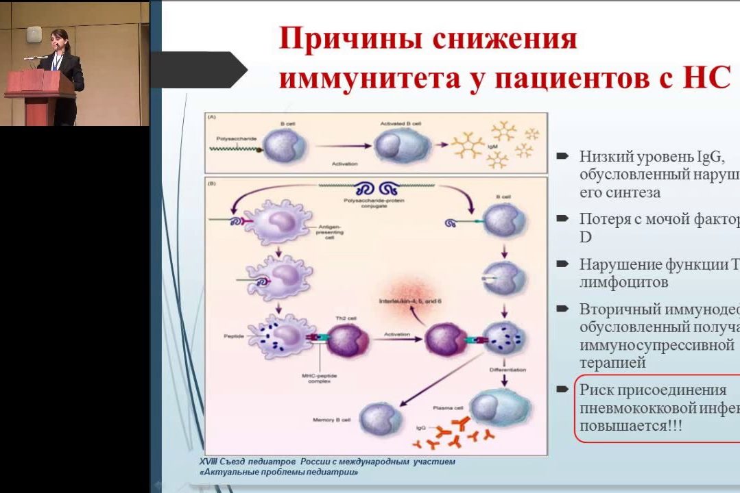 17.02.2017 — Вакцинация детей с тяжелыми формами болезней почек против пневмококковой инфекции