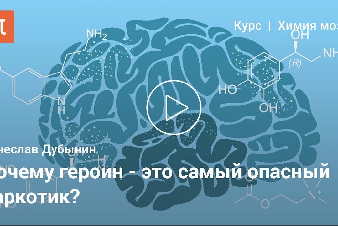 Эндорфины — Вячеслав Дубынин