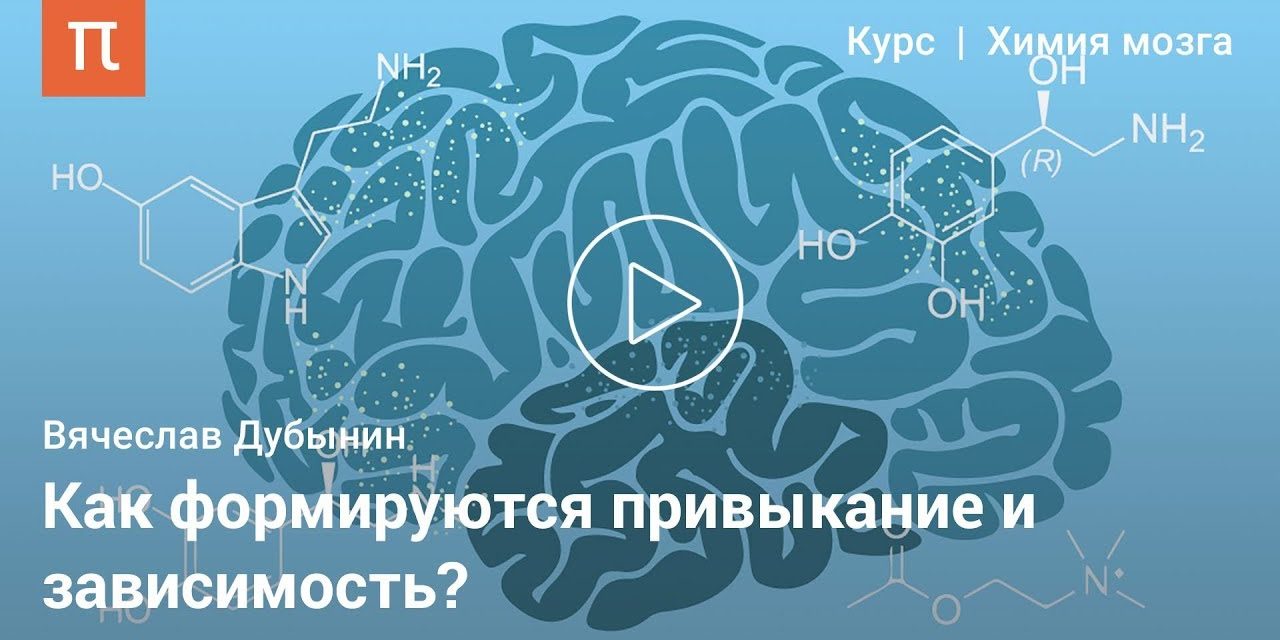 Гистамин и анандамид — Вячеслав Дубынин