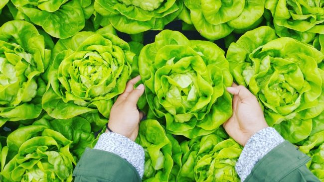 Начните детоксикацию: лучшие продукты для очистки организма