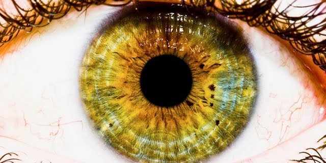 Шизофрения может влиять на здоровье всего тела