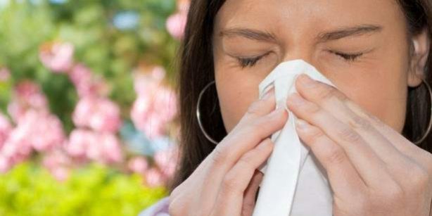 Медики рассказали, как бороться с аллергией