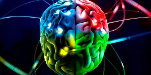 Как омолодить свой мозг и заставить его работать