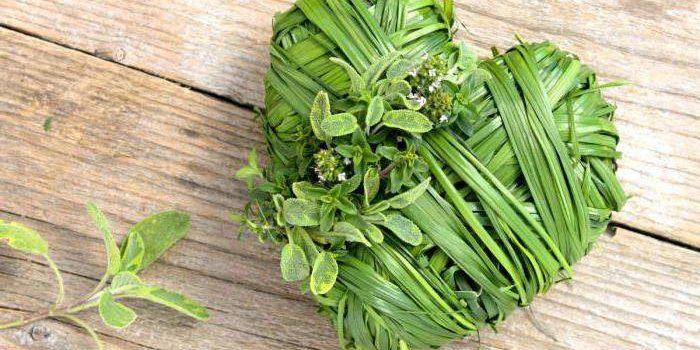 Эти лекарственные растения поддерживают здоровье сердца