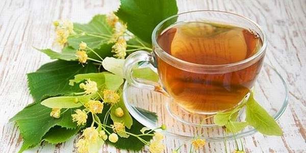 Эксперт рассказал, почему липовый чай полезен для жителей городов
