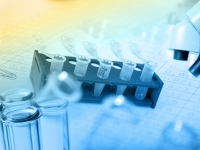 Juno Therapeutics заключила новое соглашение в сфере иммунотерапии