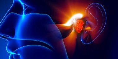 Хирургическое лечение аденоидов у взрослых с использованием лазерных технологий | Кунельская Н.Л., Царапкин Г.Ю., Кучеров А.Г., Товмасян А.С., Арзамазов С.Г., Панасов С.А.