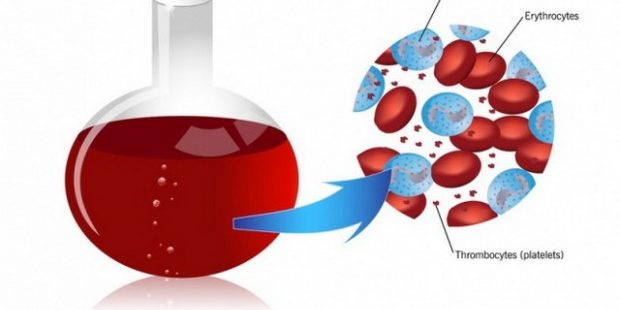 ТОП-7 лучших продуктов, увеличивающих количество тромбоцитов в крови