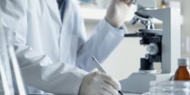 Исследователи придумали, как остановить развитие атеросклероза