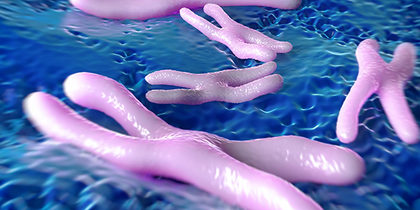 Найден способ убить рак изнутри