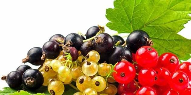 10 лучших советов диетологов для усмирения голода