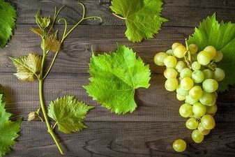 Этот вкусный продукт защитит ваши зубы от кариеса