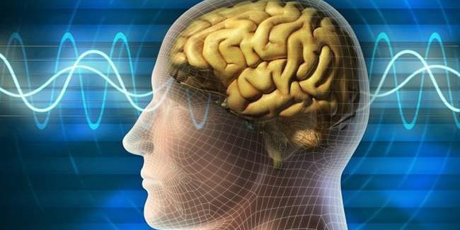 Ученые рассказали, как задержать старение мозга