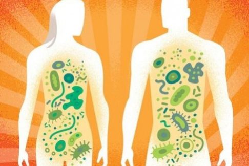 «Давайте поразвлекаем свою микробиоту» — МедНовости
