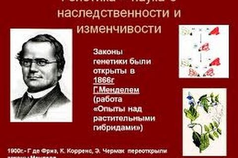 Общая биология. Основы генетики. Фоксфорд