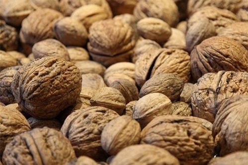 Грецкие орехи вдвое снижают риск тяжелой болезни — МедНовости