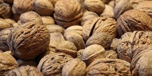 Грецкие орехи вдвое снижают риск тяжелой болезни — МедНовости