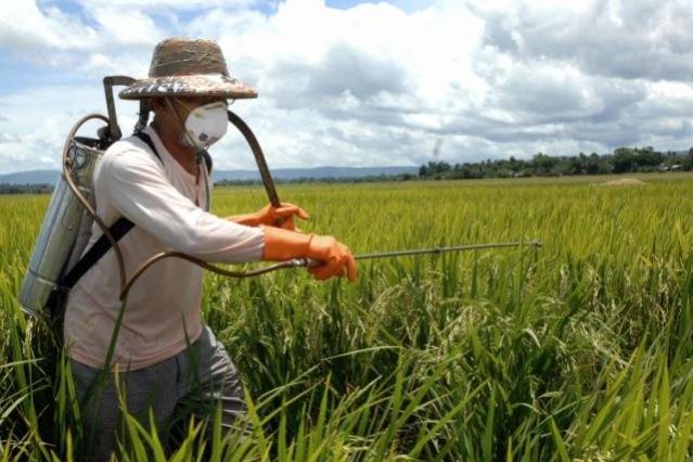 Эти простые способы помогут избавиться от пестицидов в овощах