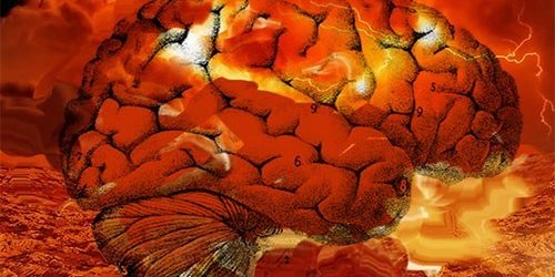 Доказано наукой: от сильной жары «плавится мозг» — МедНовости