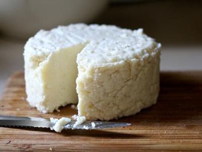 4 важные причины перейти на козий сыр с обыкновенного