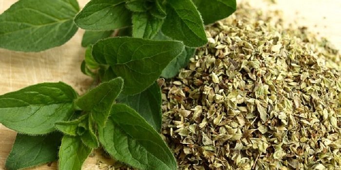 ТОП-5 лекарственных трав, которые помогут снизить кровяное давление