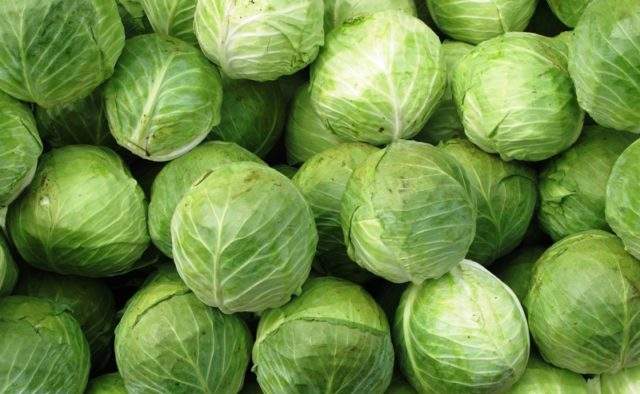 Капустная диета: основные принципы быстрого похудения