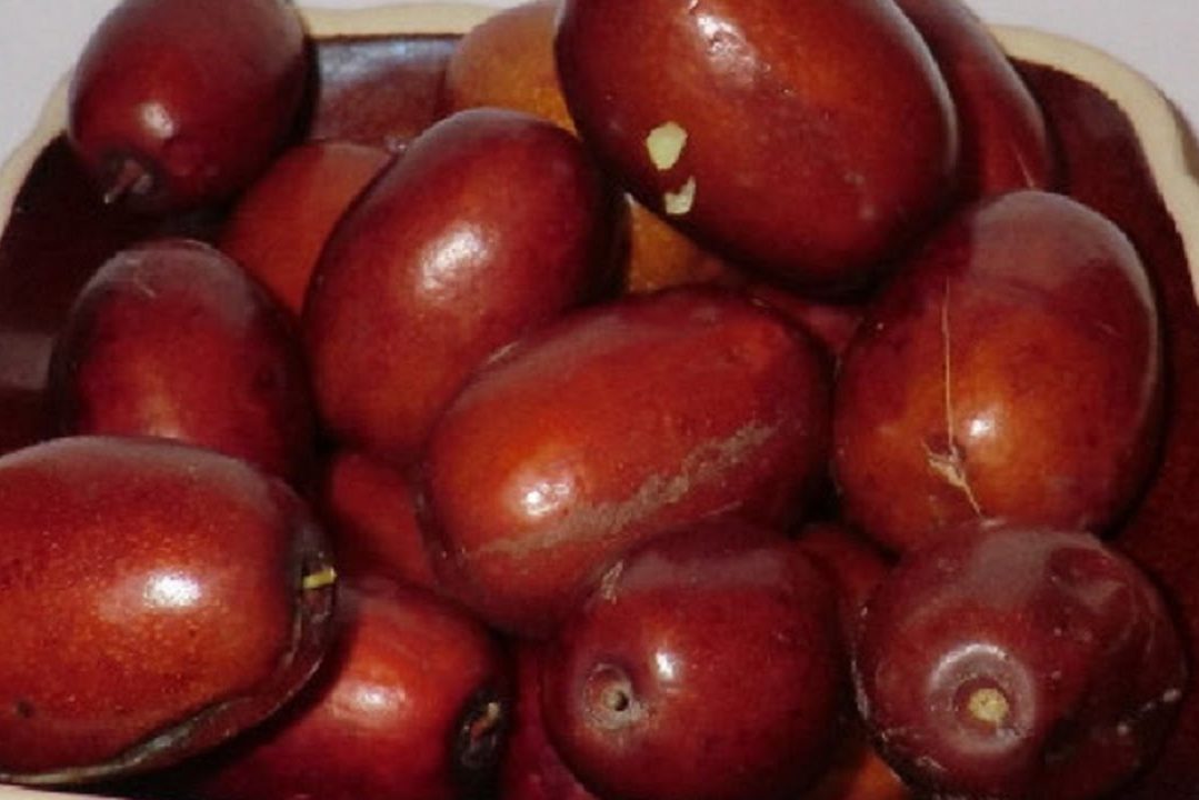 Сухофрукт, который уничтожает раковые клетки