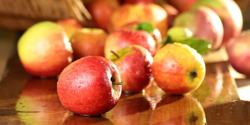 Медики назвали продукты, содержащие смертельный яд