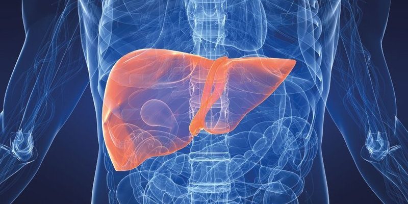 ТОП-8 симптомов того, что ваша печень перегружена токсинами!