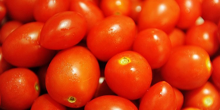 Врачи рассказали о вреде помидоров