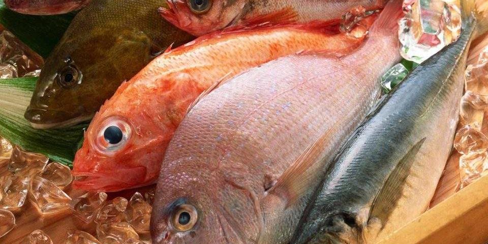 Этот продукт наверняка поможет продлить жизнь