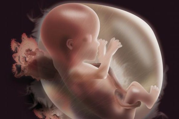 Учёные: качество сна матери отражается на развитии плода в утробе