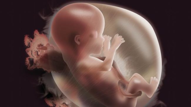 Учёные: качество сна матери отражается на развитии плода в утробе