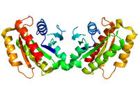 Генетики пролили свет на причины развития болезни Паркинсона