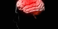 Специалисты выяснили, как воспаление влияет на мозг человека
