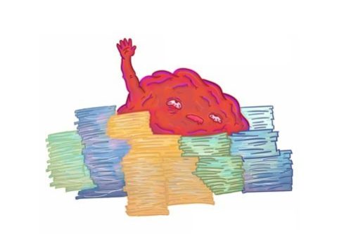 Игры для развития мозга не улучшают его работу — МедНовости