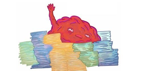 Игры для развития мозга не улучшают его работу — МедНовости