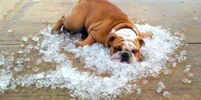 Врачи объяснили, как распознать тепловой удар