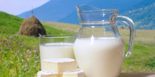 Названы самые полезные для сердца молочные продукты