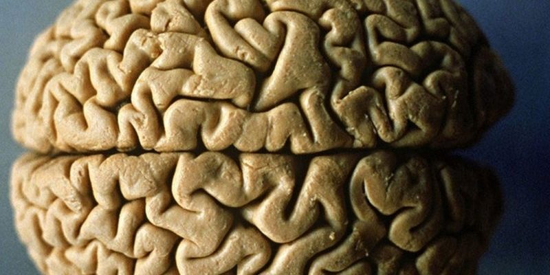 10 главных веществ для оздоровления мозга
